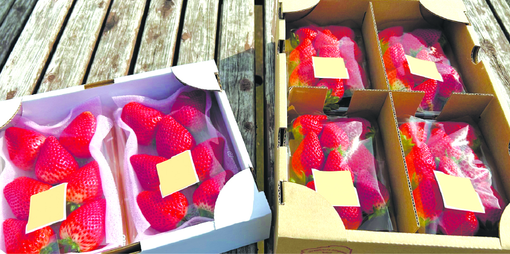 県産イチゴの食べ比べセットなども販売