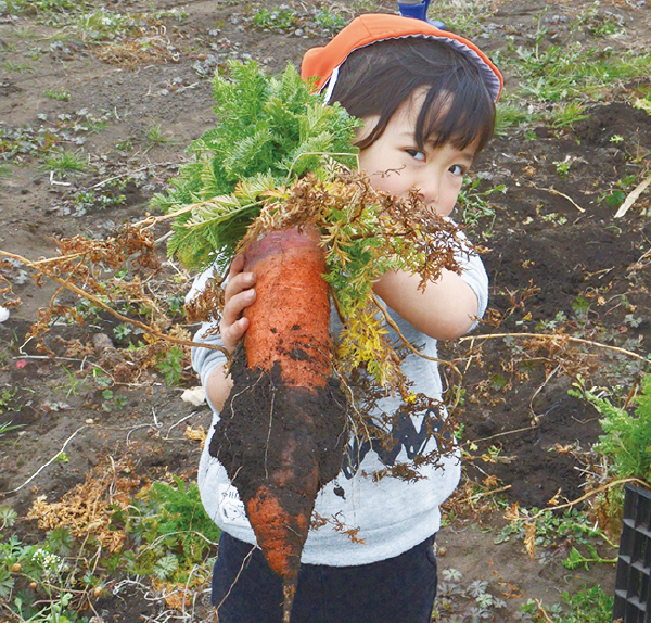 大きなニンジンを収穫して大喜び