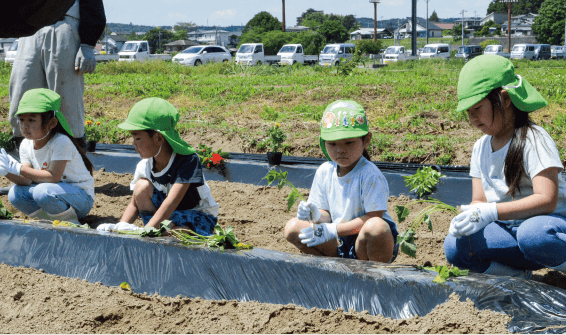 丁寧にサツマイモの苗を植え付ける園児たち