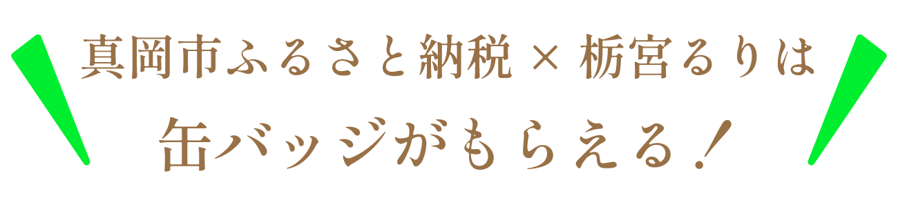真岡市ふるさと納税 × 栃宮るりは缶バッジがもらえる！