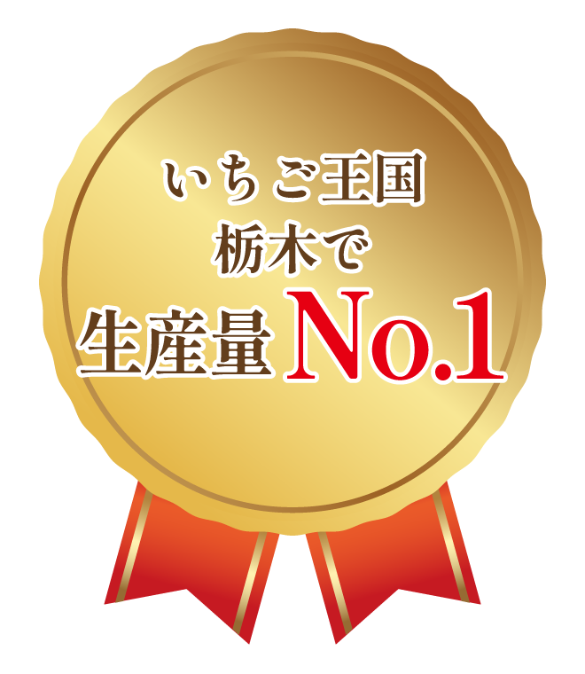 いちご王国栃木で生産量No.1