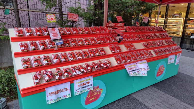 とちぎのいちごふぇすイベントの様子