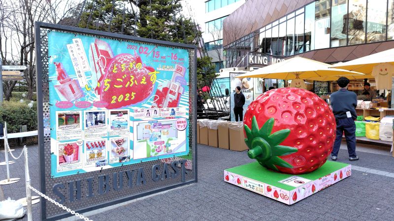 とちぎのいちごふぇすイベントの様子