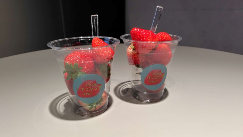 とちぎのいちごふぇすイベントの様子