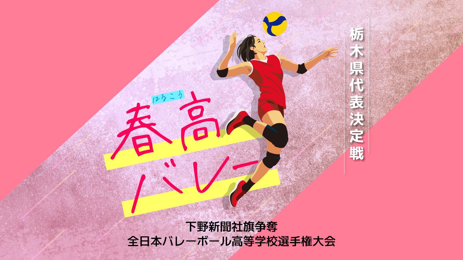 春高バレー栃木県予選女子決勝　国学院栃木－宇都宮文星女《リアルタイム得点速報》