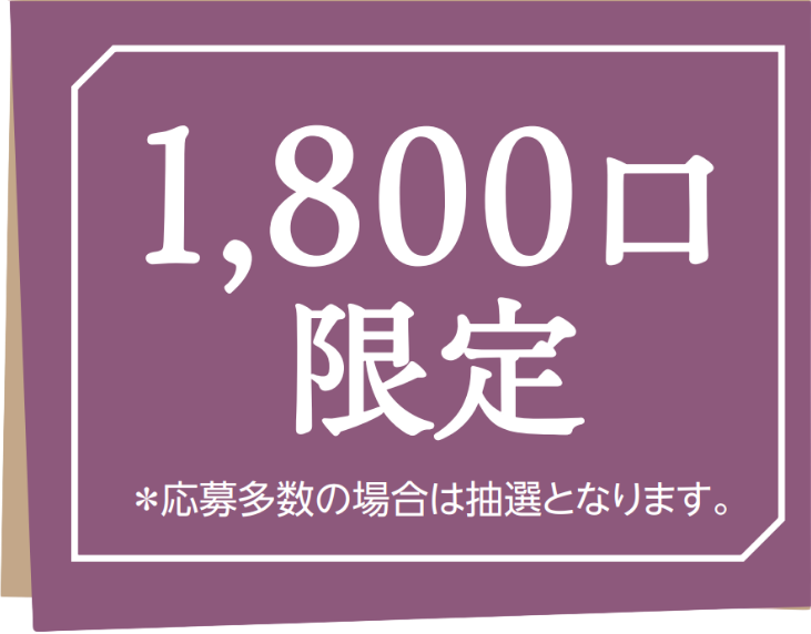 1800口限定