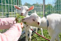 お出かけ イベント 下野新聞 Soon ニュース 下野新聞 Soon スーン