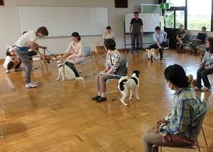 しつけや備蓄は事前に 災害発生時のペット避難 預け先確保や既往歴メモを 社会 下野新聞 Soon ニュース 下野新聞 Soon スーン