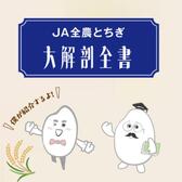 栃木米を消費者の食卓に届けるまで | JA全農とちぎ