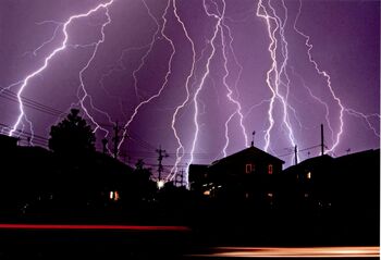 第10回下野新聞紙上写真コンテスト 21年３月 年度 下野新聞紙上写真コンテスト 下野新聞 Soon スーン