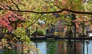 輝く水面に映える錦 佐野 出流原弁天池 動画 社会 県内主要 動画 下野新聞 Soon ニュース とちぎの紅葉 下野新聞 Soon スーン