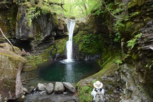 早くも 幻の滝 出現 矢板 今期初 前日の大雨が奏功か 地域の話題 県内主要 下野新聞 Soon ニュース 下野新聞 Soon スーン