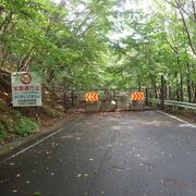 総延長51km、幻のスカイラインに64年目の終止符　数奇な運命たどった栃木県北の「…