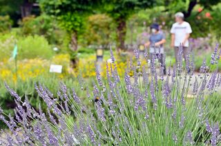 看護師合格率が全国２位 通信課程 学びやすさ提供 栃木のマロニエ医療福祉専門校 県内主要 地域の話題 下野新聞 Soon ニュース 下野新聞 Soon スーン