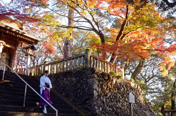 唐澤山神社で紅葉見頃 佐野 12月中旬ごろまで 地域の話題 県内主要 下野新聞 Soon ニュース とちぎの紅葉 下野新聞 Soon スーン