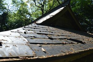 銅板がはがされ、下地がむき出しになった羽黒神社拝殿の屋根＝５月上旬、茂木町町田