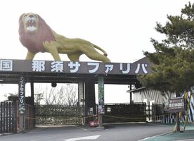 那須サファリパーク営業再開 事故のトラ展示継続 社会 県内主要 事件事故 下野新聞 Soon ニュース 下野新聞 Soon スーン