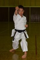 全日本中学空手で栃木県勢初優勝 さくら 氏家中の植田さん 地域の話題 県内主要 下野新聞 Soon ニュース 下野新聞 Soon スーン