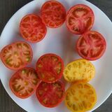 【お茶でもしながら　小説家・村崎なぎこの日常】（19）夫を…