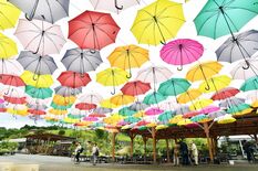 人気の 木育 有料化か 開設１年 利用者数堅調 鹿沼 いちごっこ広場 地域の話題 県内主要 政治行政 下野新聞 Soon ニュース 下野新聞 Soon スーン