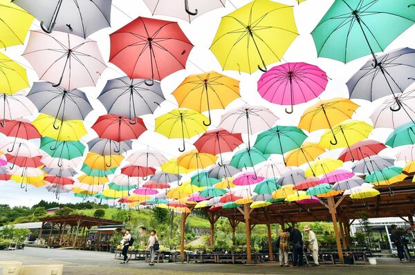 傘軽やかに梅雨空彩る 鹿沼 花木センター 動画 地域の話題 動画 県内主要 下野新聞 Soon ニュース 下野新聞 Soon スーン