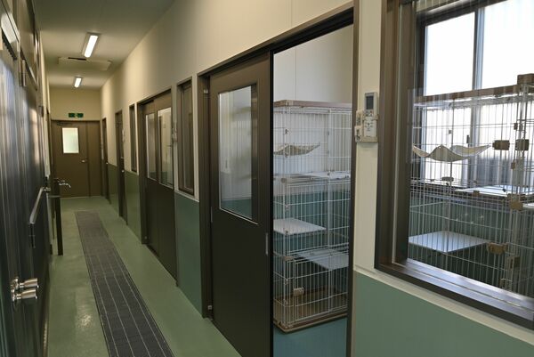 犬 猫の譲渡円滑に 宇都宮市動物愛護センターを整備 ４月運用開始 地域の話題 県内主要 下野新聞 Soon ニュース 下野新聞 Soon スーン