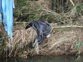 「除染廃棄物」の画像検索結果