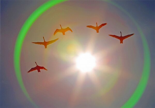 フォトギャラリー 下野新聞 Soon スーン