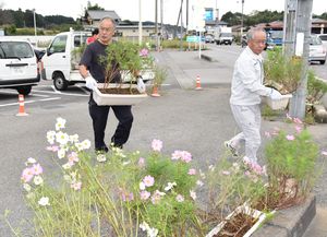 ジャパンカップ盛り上げに奮起 宇都宮 城山地区住民がウェルカムフラワー設置 地域の話題 県内主要 スポーツ 下野新聞 Soon ニュース 下野新聞 Soon スーン
