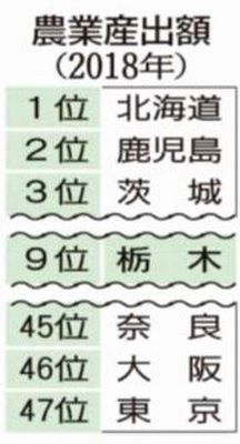 栃木県知事選 ランキングで見る県政 ６ 農業産出額９位 園芸作物注力 有数県に 県内主要 政治行政 下野新聞 Soon ニュース ランキングで見る県政 下野新聞 Soon スーン