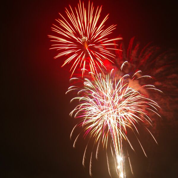 真岡の夜空彩る大輪 商議所青年部有志ら主催 地域の話題 県内主要 下野新聞 Soon ニュース 新型肺炎 Covid19 下野新聞 Soon スーン