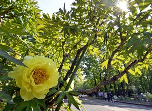 宇都宮 の 明日 の 天気