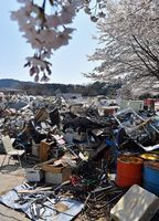 災害ごみの仮置き場となっている市大桶運動公園の駐車場 