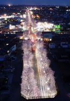 栃木県内 桜の便り 美しすぎる桜並木 鹿沼 さつき大通り 社会 県内主要 地域の話題 下野新聞 Soon ニュース とちぎさくら前線 下野新聞 Soon スーン 栃木県内 桜の便り 美しすぎる桜並木 鹿沼 さつき大通り 社会 県内主要 地域の話題 下野新聞 Soon ニュース とちぎさくら前線 下野新聞 Soon スーン