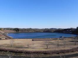 平成トラベラー とちぎ話題のスポット 18年 14万株 一躍観光地に 芝ざくら公園オープン 市貝 下野新聞 Soon ニュース 平成トラベラー 下野新聞 Soon スーン