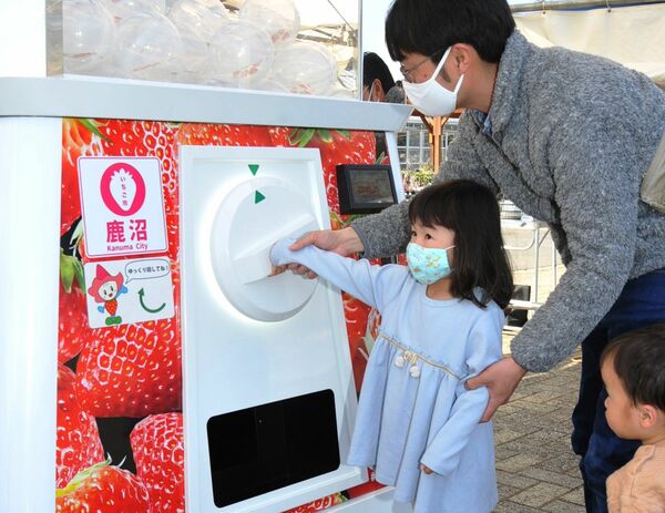 高さ2 4メートル ガチャ登場 いちご市 イベントｐｒへ 鹿沼市花木センター 地域の話題 県内主要 政治行政 下野新聞 Soon ニュース 下野新聞 Soon スーン