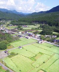 山里彩るソバの花　鹿沼・上大久保地区で…