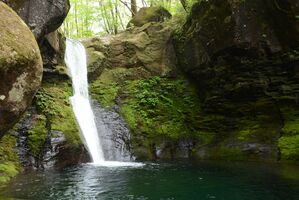 早くも 幻の滝 出現 矢板 今期初 前日の大雨が奏功か 地域の話題 県内主要 下野新聞 Soon ニュース 下野新聞 Soon スーン