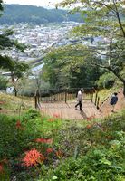 展望台を新設 彼岸花ウイーク 前に 茂木の城山公園 地域の話題 県内主要 下野新聞 Soon ニュース 下野新聞 Soon スーン