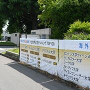 栃木県から海外大学に続々現役合格　存続危機「お嬢様学校」が一転、全国の注目浴びる中…