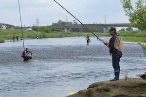 今年のアユは期待大 思川で解禁 関東の先陣 下都賀漁協管内 地域の話題 県内主要 下野新聞 Soon ニュース 下野新聞 Soon スーン