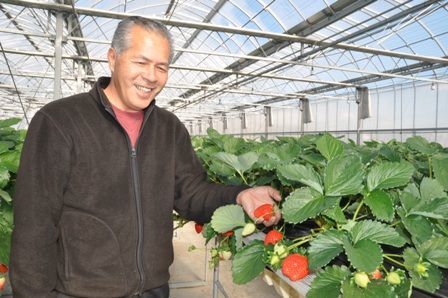 101 県産イチゴ スカイベリー 王国 担う大型ルーキー 酸味少なく上品な甘さ ふぉーyou Jaプラザ ふぉーyou 下野新聞 Soon スーン