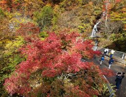 もみじラインで紅葉見頃 白滝周辺鮮やかに彩る 動画 県内主要 社会 地域の話題 動画 下野新聞 Soon ニュース とちぎの紅葉 下野新聞 Soon スーン