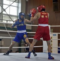 作新勢 全８階級制覇 栃木県高校新人スポーツ ボクシング男子 スポーツ 下野新聞 Soon ニュース 下野新聞 Soon スーン