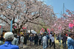 天平の花祭り中止決定 下野 市内最大の観光イベント 地域の話題 県内主要 下野新聞 Soon ニュース 新型肺炎 Covid19 下野新聞 Soon スーン