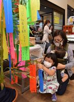願い事を書いた短冊を飾り付けする親子連れ