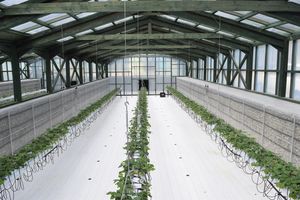 半地下式農業ハウス完成 高級夏イチゴを周年生産 宇都宮のクラフトワーク 経済 下野新聞 Soon ニュース 下野新聞 Soon スーン