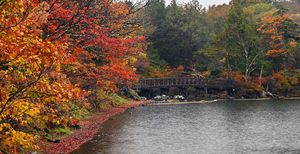 霧と紅葉の共演 日光 湯ノ湖で見頃 動画 地域の話題 動画 県内主要 下野新聞 Soon ニュース とちぎの紅葉 下野新聞 Soon スーン