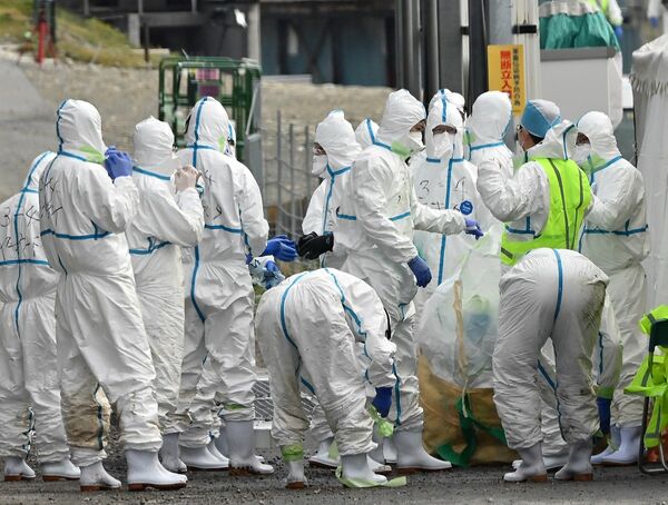 国内最多３万9362頭 殺処分終了 那須塩原の豚熱 発生から22日 社会 県内主要 地域の話題 政治行政 下野新聞 Soon ニュース 下野新聞 Soon スーン