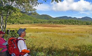 貴婦人の足元色づく 奥日光で草紅葉始まる 動画 地域の話題 動画 県内主要 下野新聞 Soon ニュース 下野新聞 Soon スーン